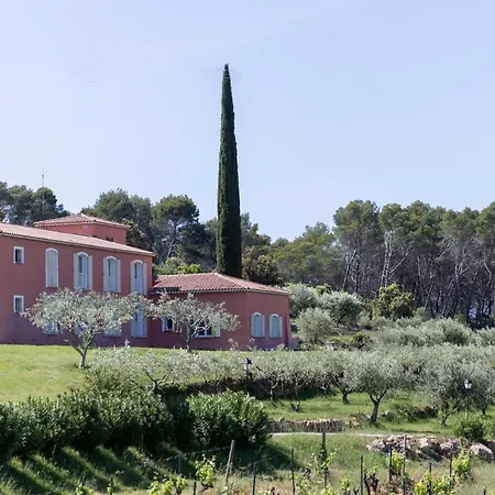 Domaine Rabiega - Vineyard And Boutique