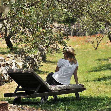 Domaine Rabiega - Vineyard And Boutique 4*