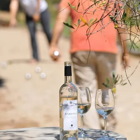 Hotel Domaine Rabiega - Vineyard And Boutique 4*